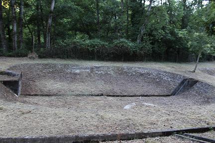 ICNF assume abandono do viveiro de França