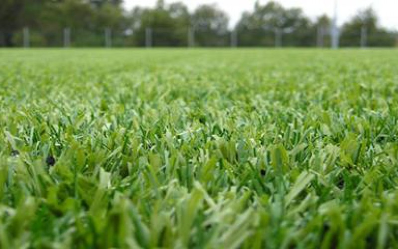 Balneários do campo sintético da Reginorde vão ser custeados pela autarquia