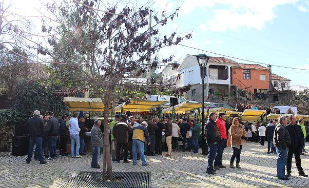 Vinho e bacelo deram o mote à feira de produtos da terra em Fradizela