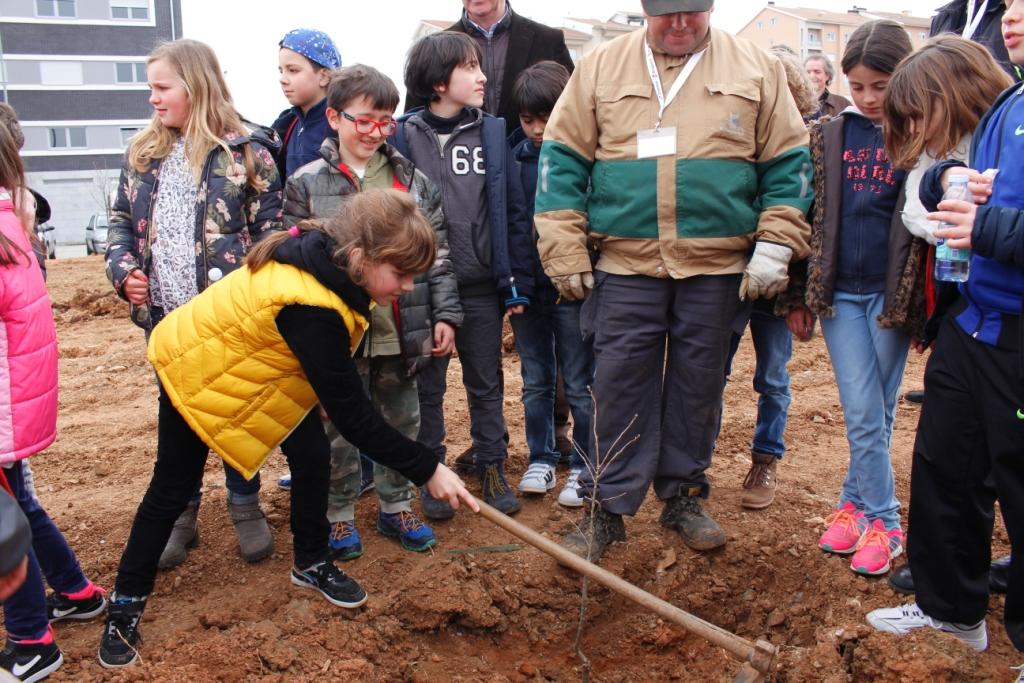 Crianças plantam 270 plantas em Bragança para assinalar Dia da Árvore