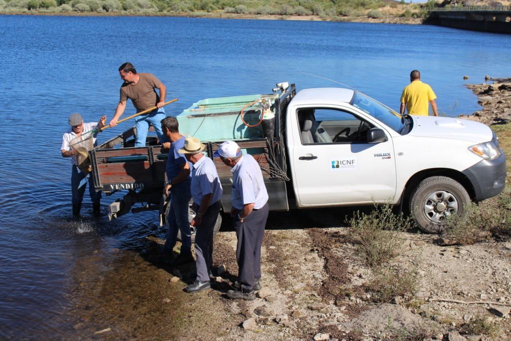 Pescadores de Montesinho esperaram 2 anos por repovoamento de trutas