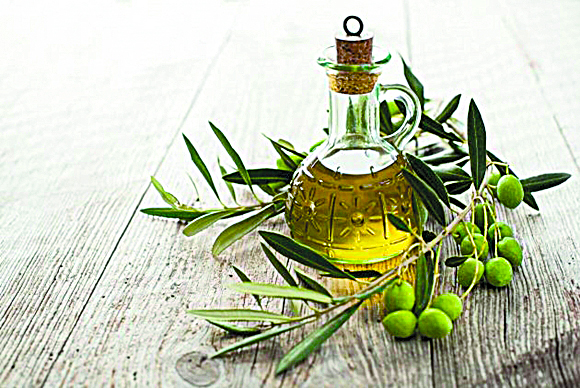 Azeites transmontanos são dos melhores do mundo