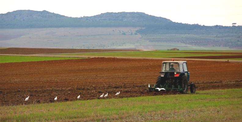 Macedo prepara-se para receber a primeira Feira de Agricultura