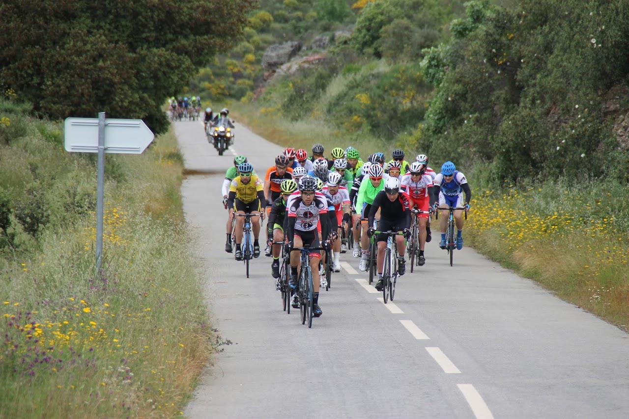 Ovídio Linhas vence em Mogadouro
