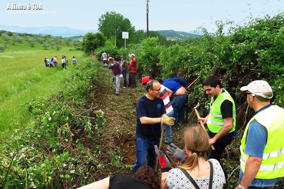 Entrar na Linha devolveu temporariamente circulação ferroviária a Cortiços