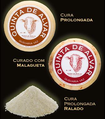 Novas variedades transmontanas de queijo de ovelha e cabra apostam na qualidade e inovação