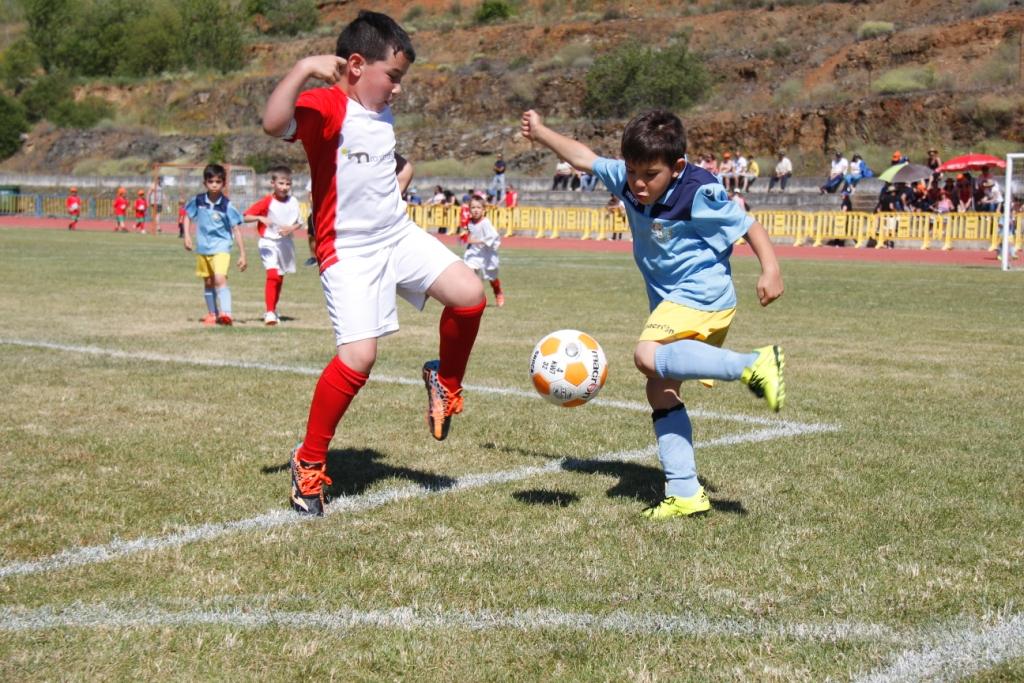 Crescer Jogando 2016 reuniu mais de 500 pequenos jogadores