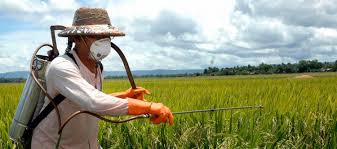 Aplicadores profissionais de fitofarmacêuticos não precisam de apresentar cartão até ao próximo ano