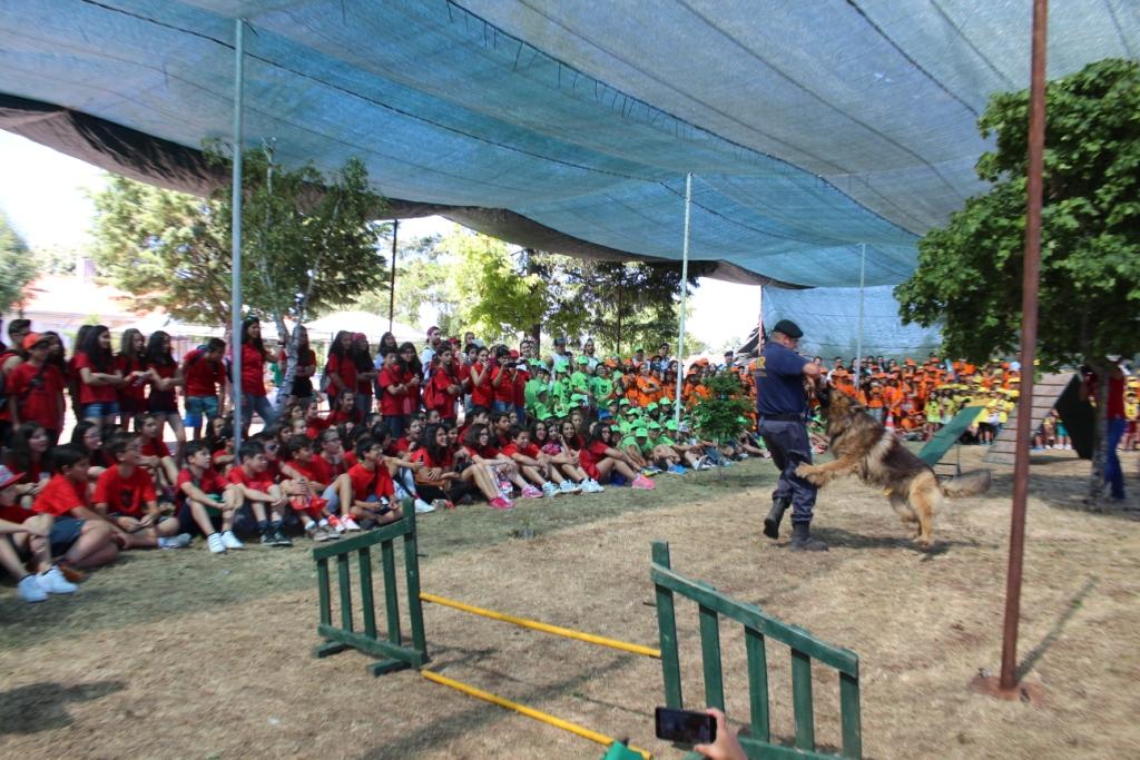 GNR recebe cerca de 900 crianças em dia aberto