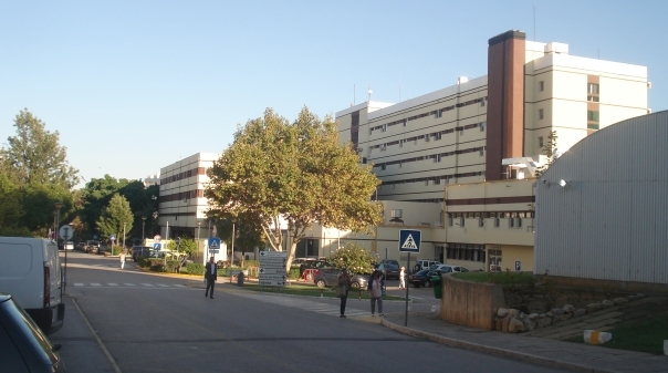Médicos especialistas da ULS do Nordeste estão a trabalhar temporariamente para o Centro Hospitalar do Algarve