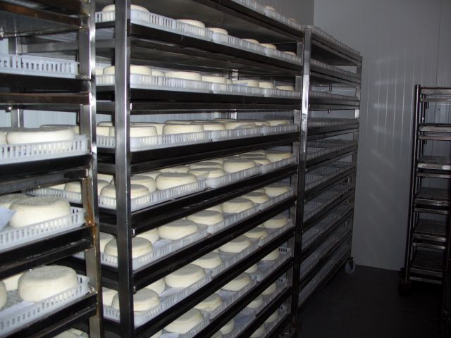 IPB ajuda Leicras a desenvolver queijo de cabra de cura extra longa