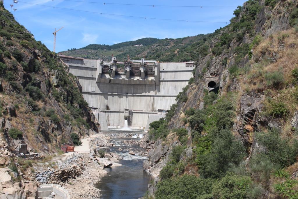 Governo autoriza abate de mais de 800 árvores no Vale do Tua como consequência da barragem