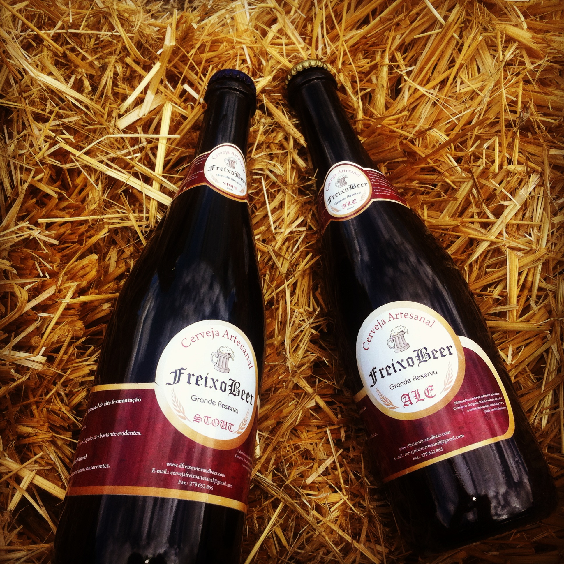 Cerveja artesanal de Freixo de Espada à Cinta ganha ouro no 1.º Concurso Nacional de Cidras e Cervejas