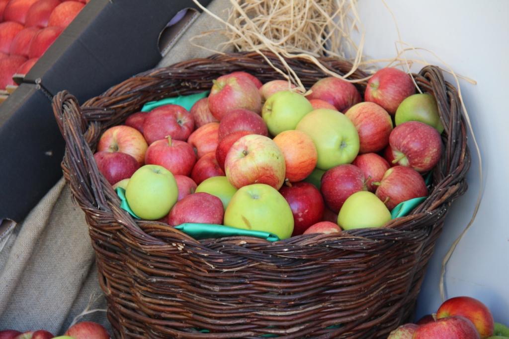 Showcooking em destaque na Feira da Maçã, Vinho e Azeite de Carrazeda de Ansiães