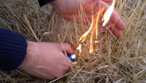 Homem de 48 anos detido por ter ateado incêndio em Freixo de Espada à Cinta