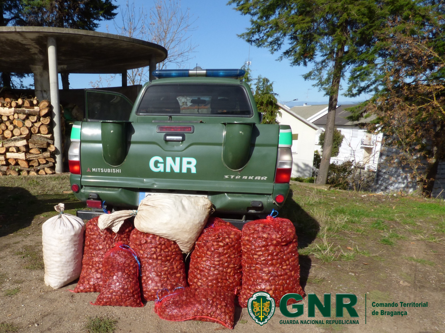 GNR recuperou 300 quilos de castanha furtados de armazém