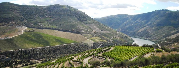 Portas do Vale do Tua estão em fase de concurso