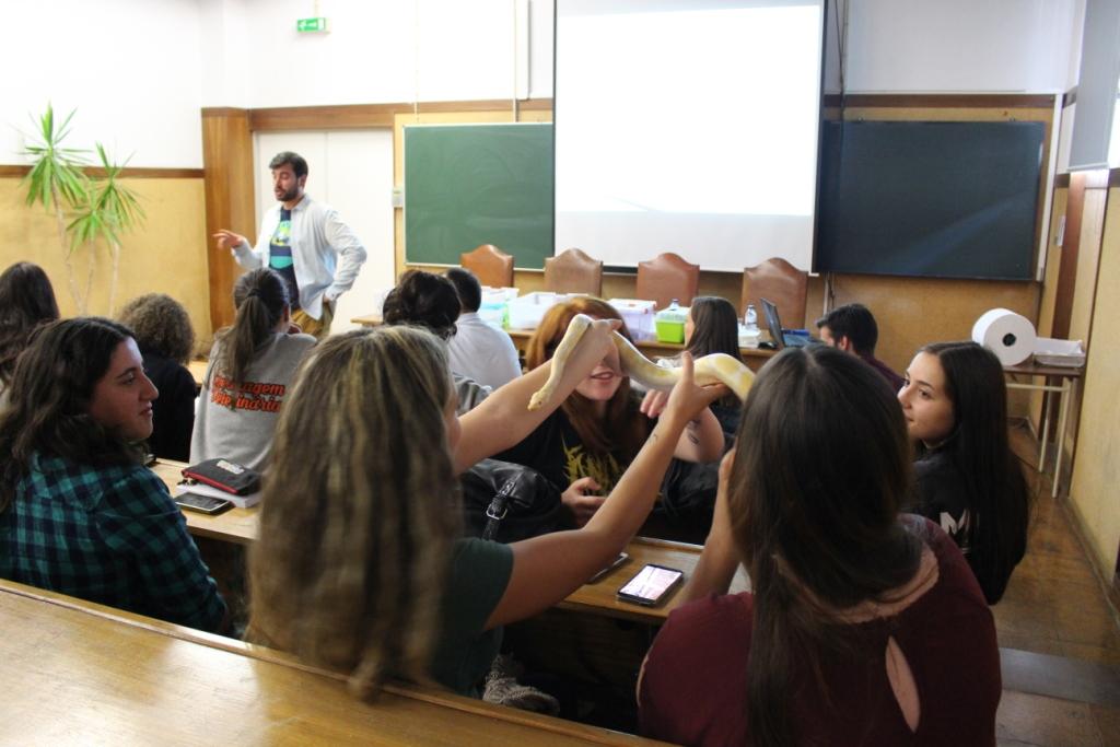 VI Semana do Animal debate temas da área veterinária