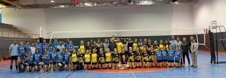 Associação de Voleibol de Trás-os-Montes em actividade