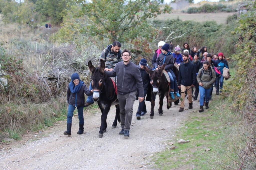Dezenas de pessoas participaram no “Brano de San Martino” com passeios de burro, magustos e experiências no planalto mirandês