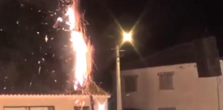 Dona do gato de Mourão condenada a 450 euros de multa