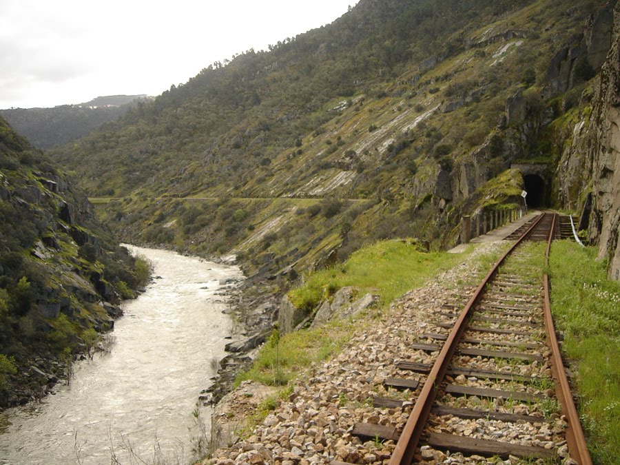 MCLT confiante numa mudança positiva para Linha do Tua