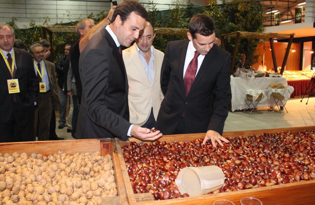 Bragança reclama título de Capital da Castanha