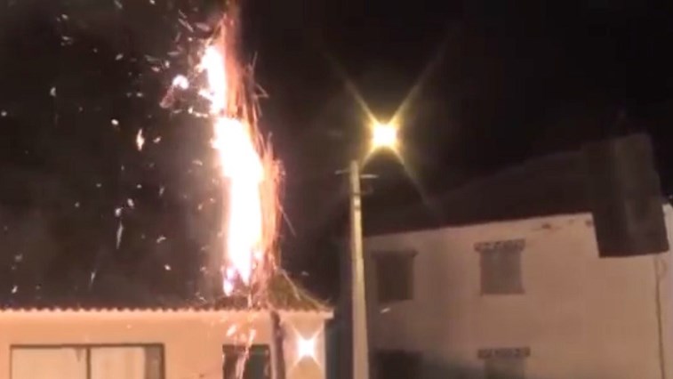 Ministério Público pede uma pena de multa para a dona do gato de Mourão