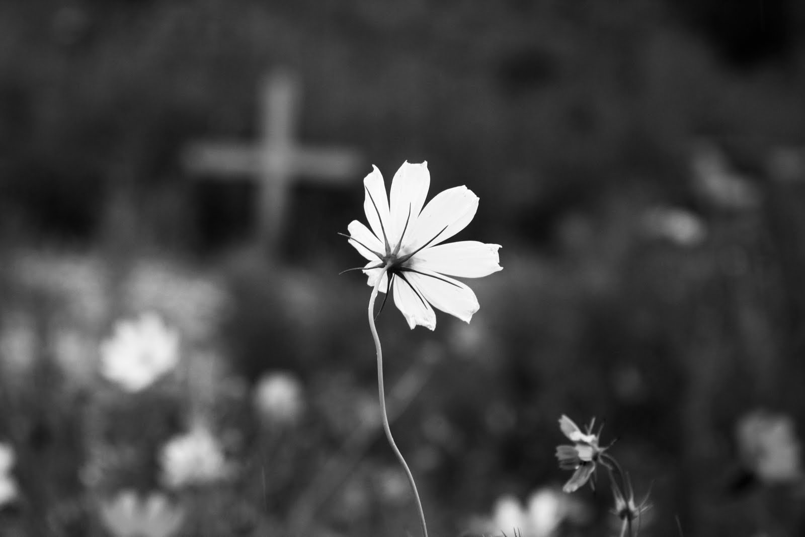 Idoso morreu vítima de hipotermia em Pombal, Alfândega da Fé