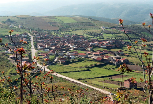 Homem morre baleado em Meirinhos – Mogadouro