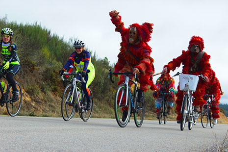Ligação actual de Bragança a Puebla de Sanabria “já só serve para actividades desportivas”, considera José Fernández Blanco
