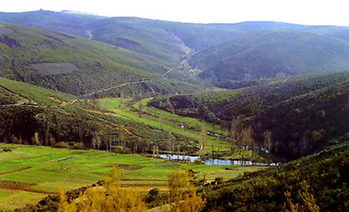 Secretária de Estado do Ordenamento do Território mostrou-se empenhada em resolver os problemas dos agricultores em áreas protegidas