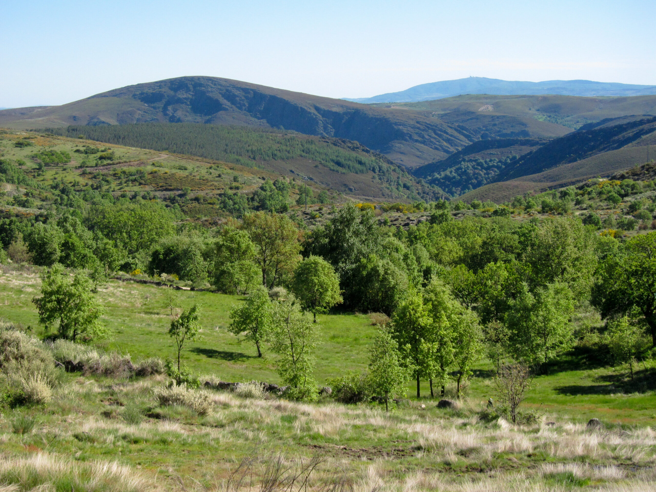 Agricultores e Associação Rionor reúnem com secretária de Estado do Ordenamento do Território para discutir áreas protegidas