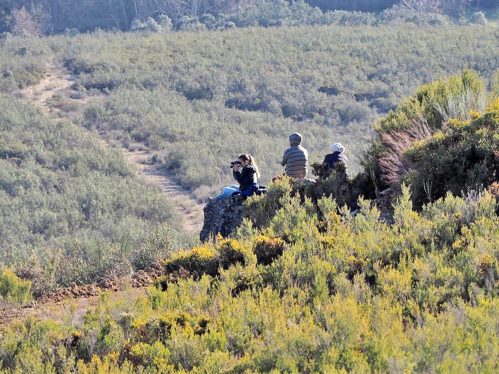 Passagem de ano em Rio de Onor entre lobos e veados