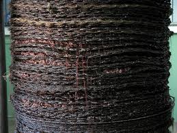 Incêndio destrói parcialmente lagar no concelho de Mirandela