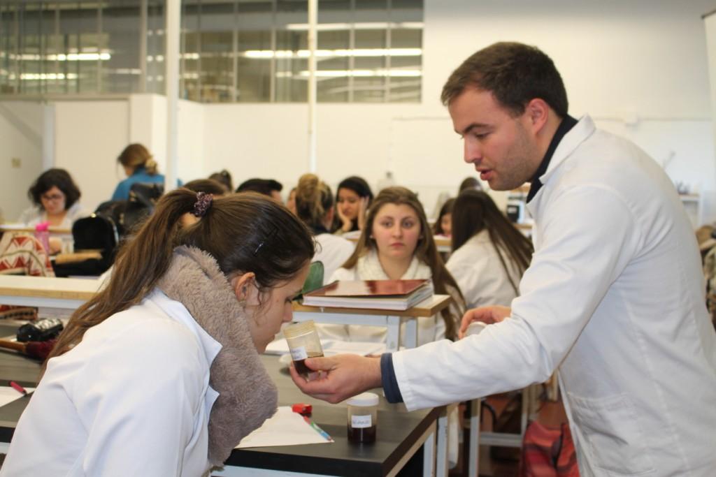 IPB está a promover o primeiro painel de provadores de azeitona de mesa do país