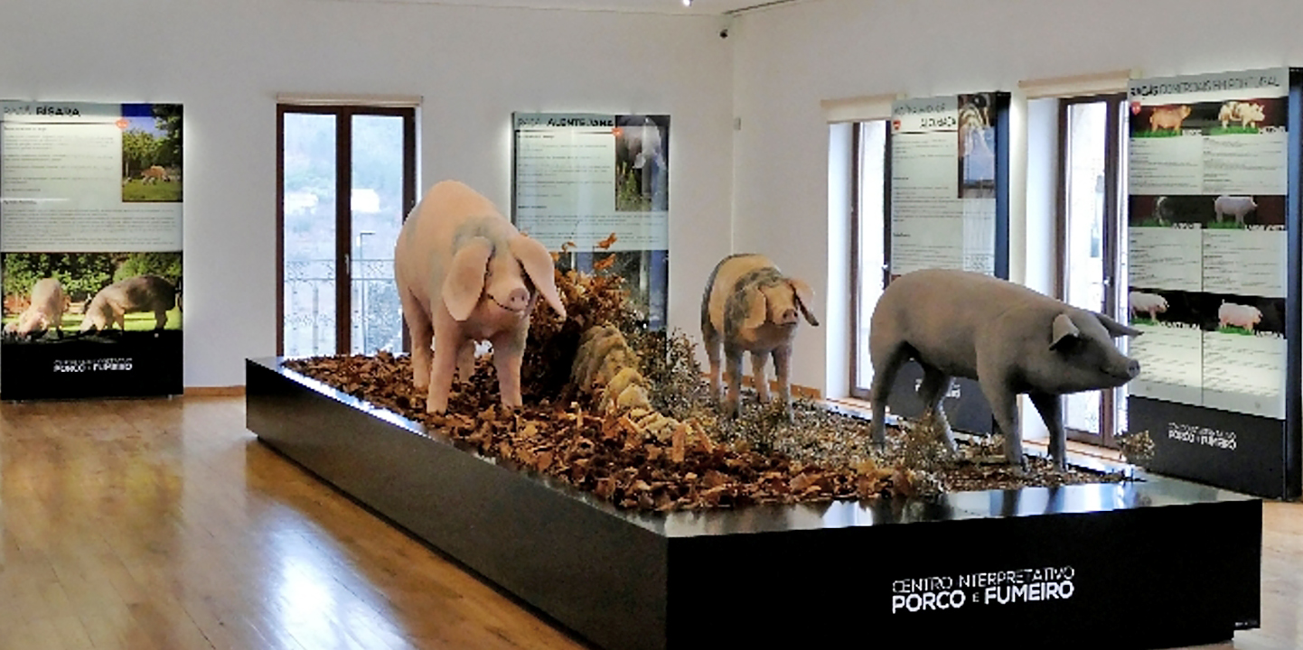 Vinhais: é aqui a capital do fumeiro