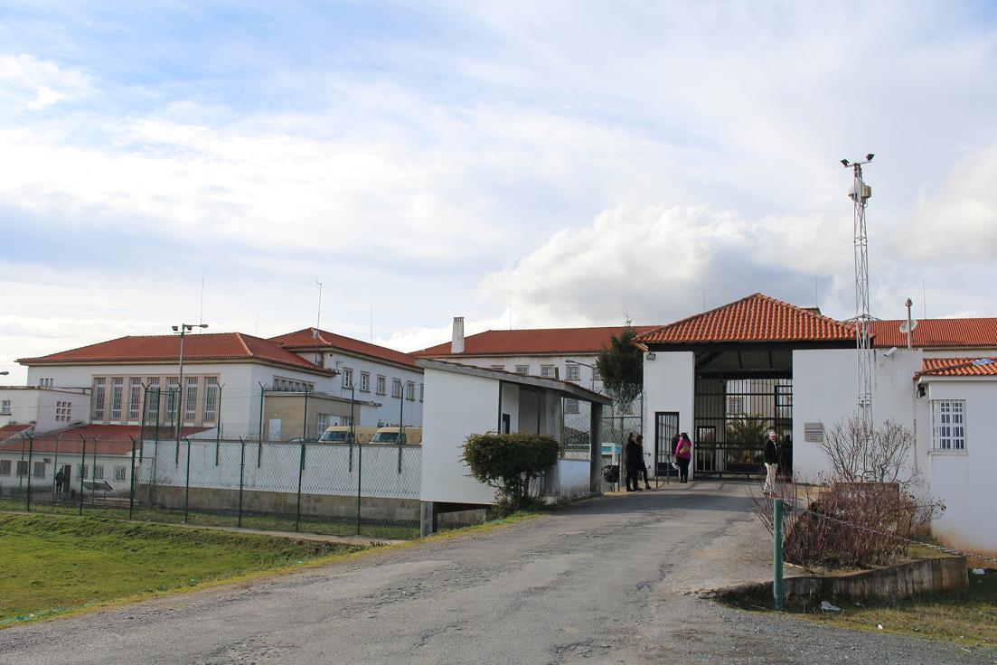 Recluso da cadeia de Izeda morre depois de cair de oliveira