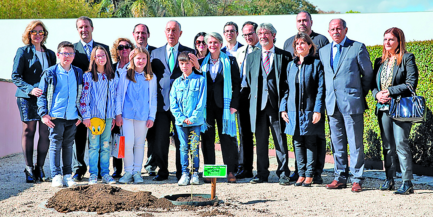 Freixo recuperou e já tem um clone em Lisboa