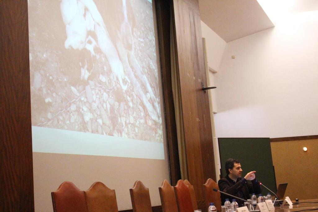 O PAN está contra a descentralização de competências,de saúde animal e outras, para as autarquias