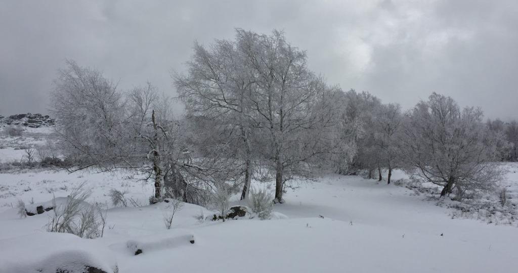 Nevões diminuíram em Trás-os-Montes