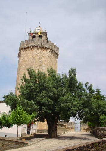 Freixo de Espada à Cinta comemora dia da árvore no Palácio de Belém