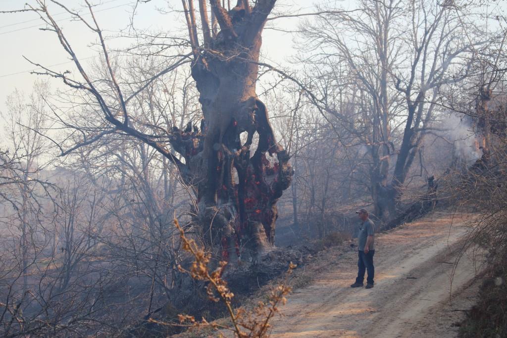 Lavram dois incêndios no concelho de Vinhais