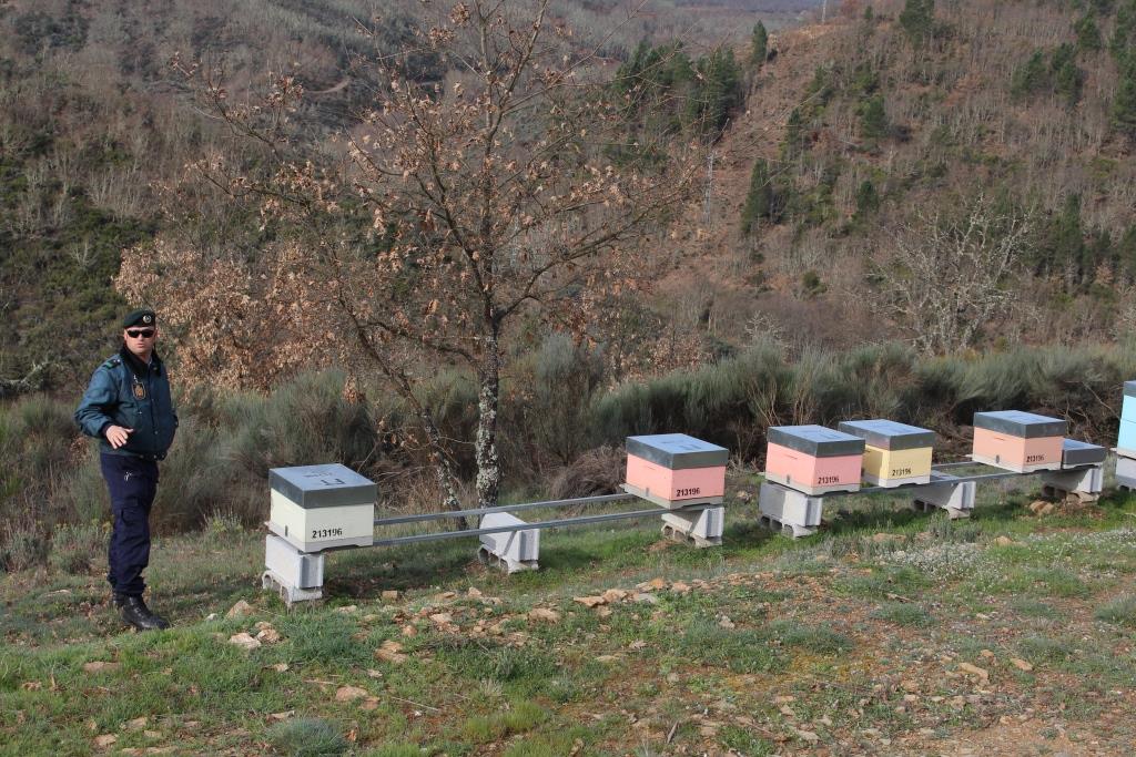 Operação da GNR “Colmeias Protegidas” para prevenir furtos nos apiários