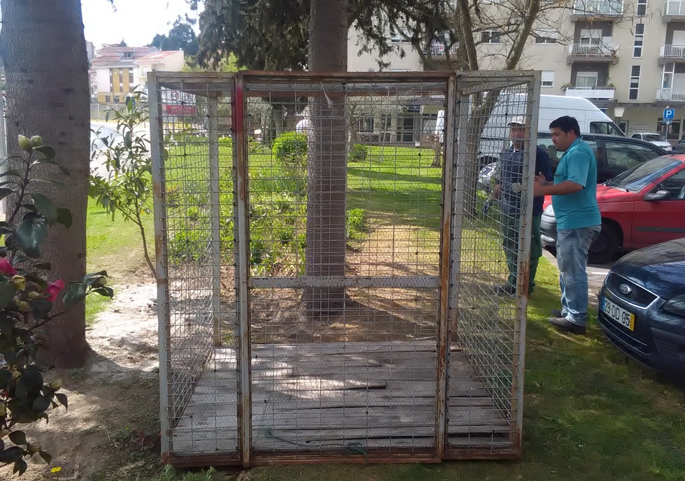Mirandela apresenta novo sistema de recolha de animais vadios