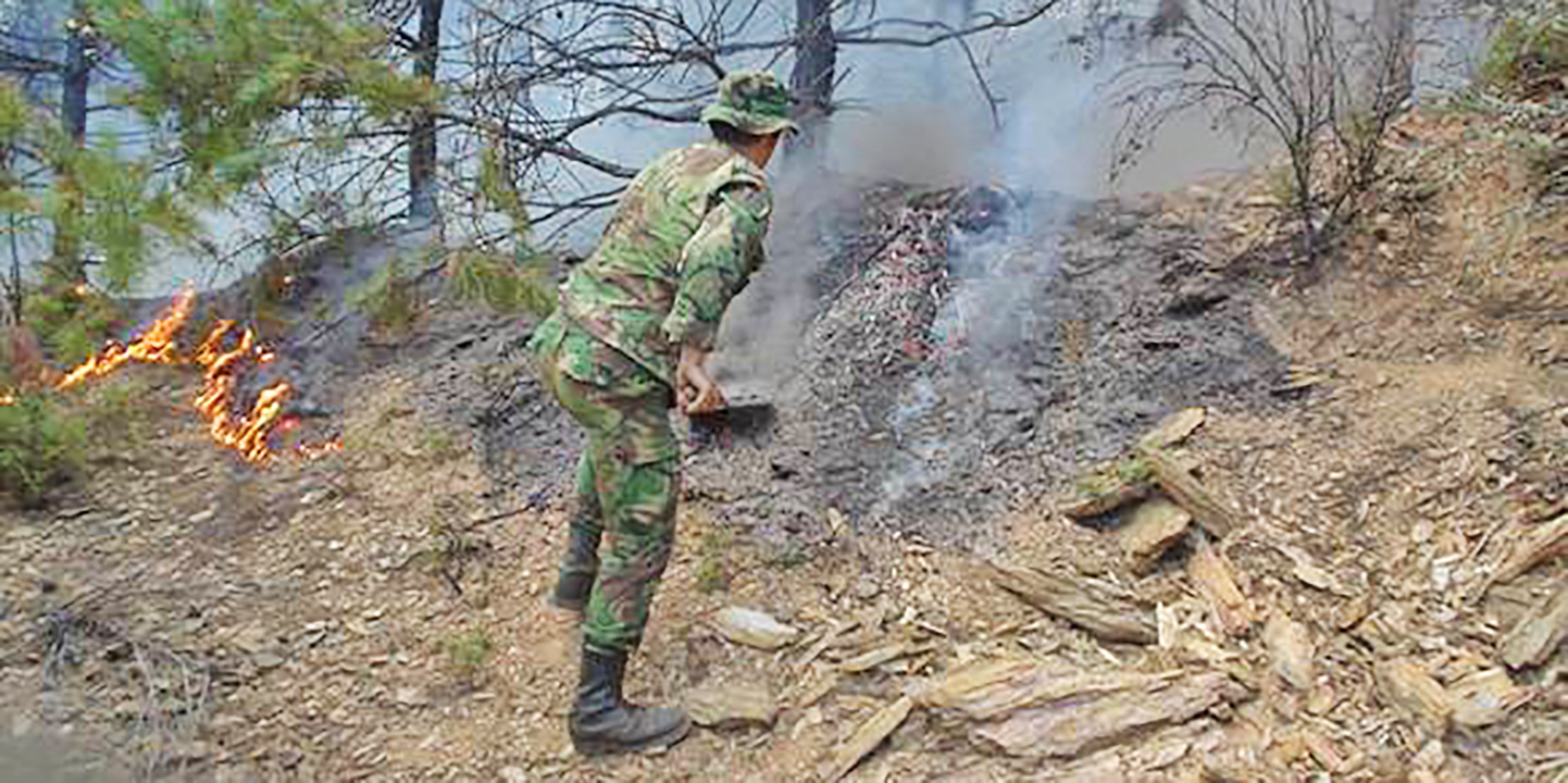 “Militares não vêm para combater incêndios, essa é a função dos bombeiros”