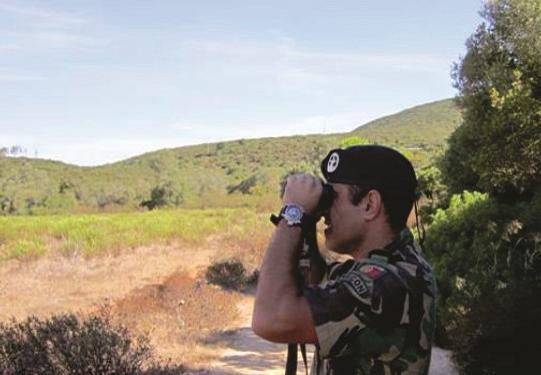 Militares começam em breve vigilância florestal para prevenção de incêndios