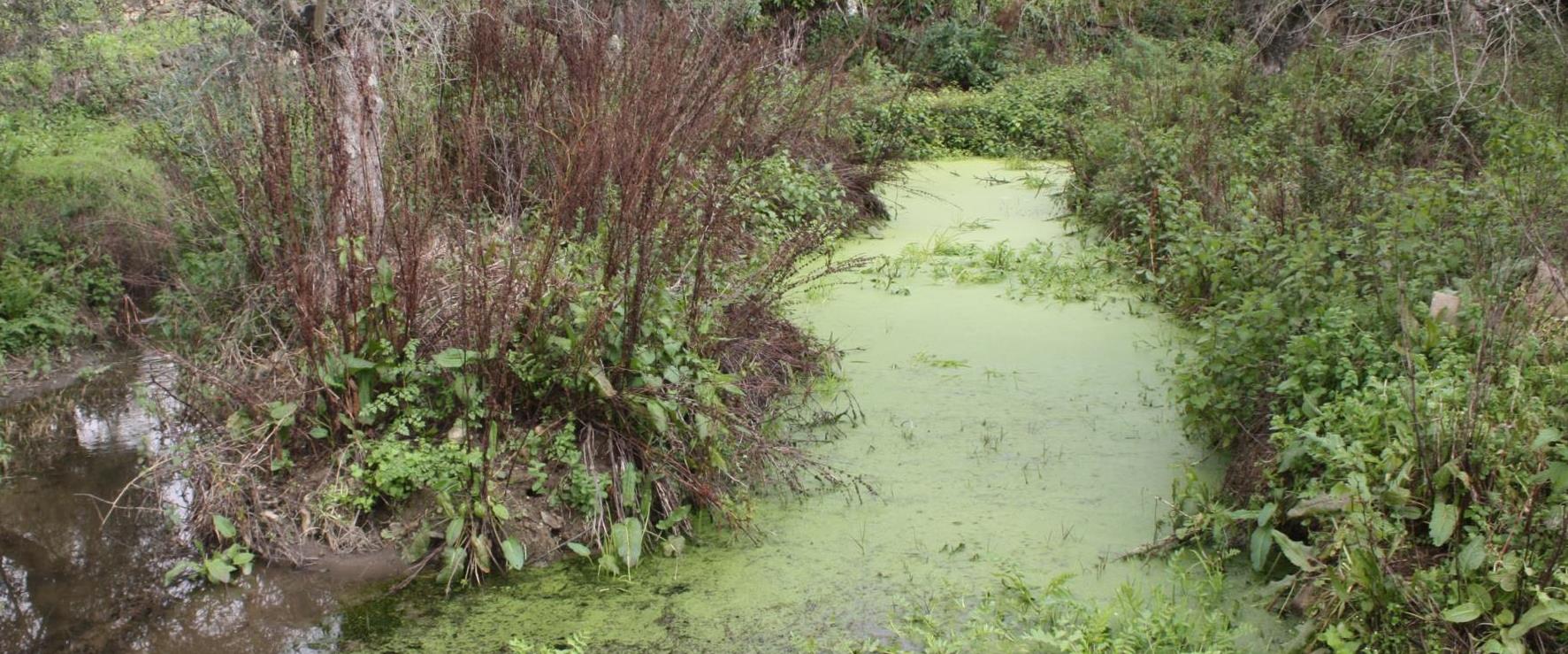 Agricultores de Moncorvo vêem o seu recurso judicial considerado “inadmissível” pelo Tribunal Europeu dos Direitos do Homem