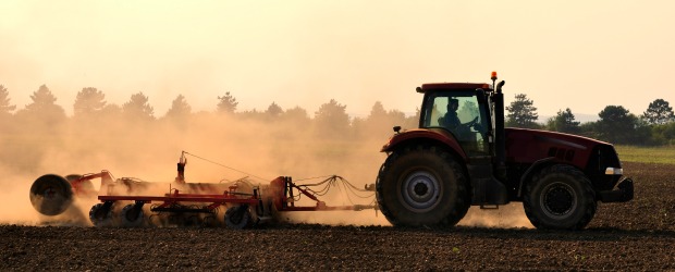 Mil milhões de euros para 20 mil projectos agrícolas já foram aprovados