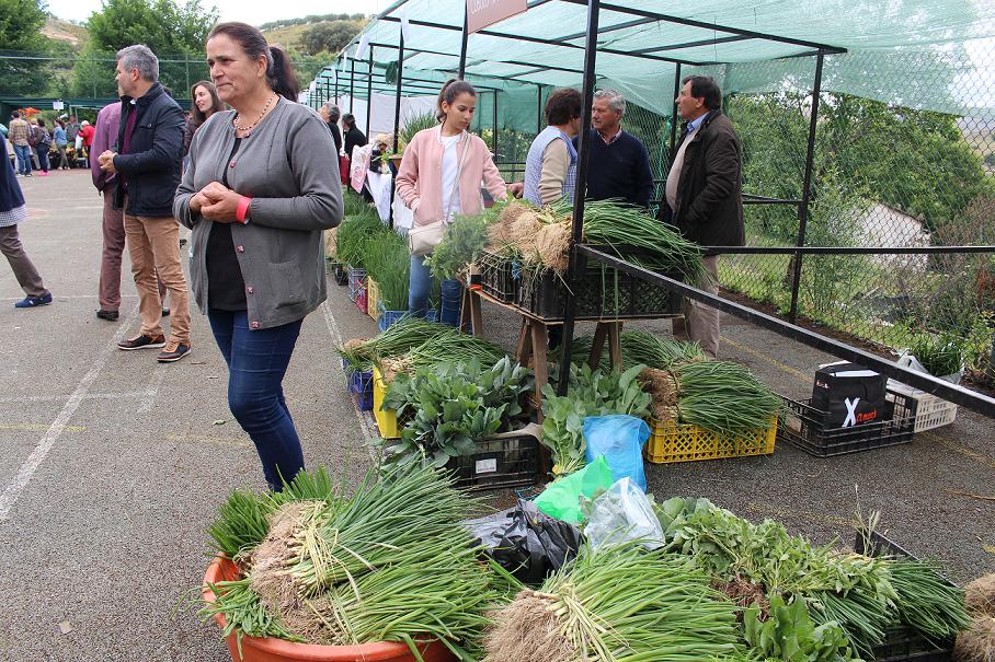 Feira do Cebolo de Alfaião teve reforço do produto para satisfazer procura